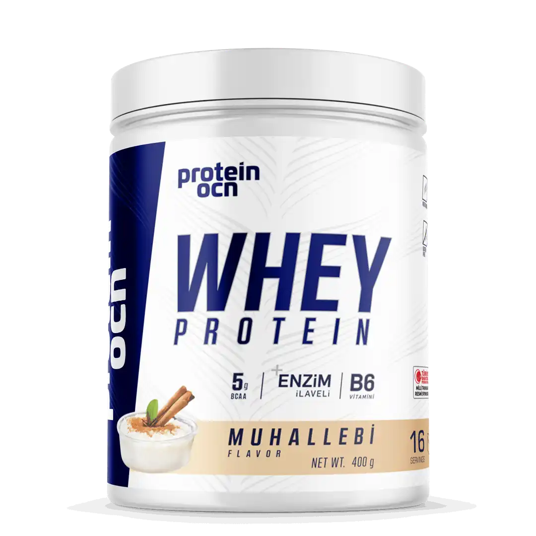 Protein Ocn Whey Protein 400 Gr